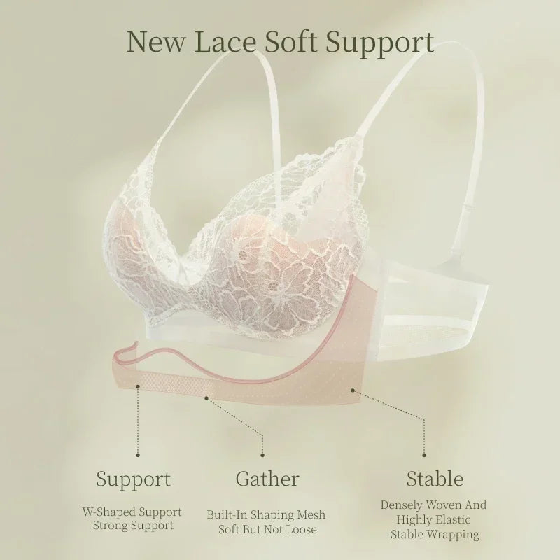Summer Lace Lingerie